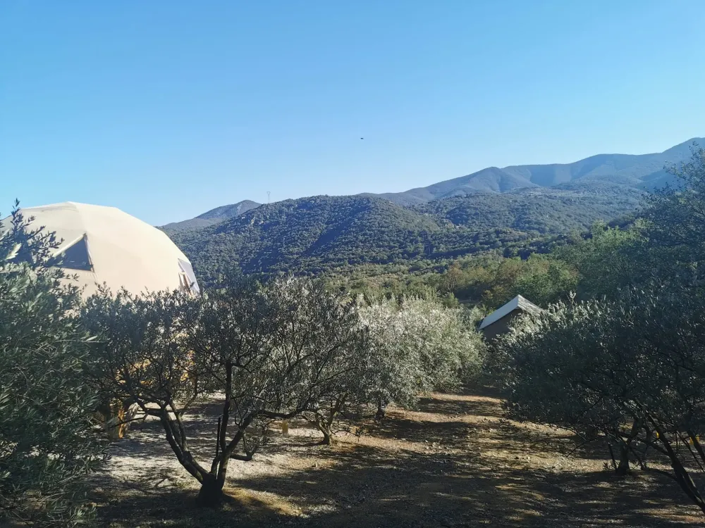 Le dôme dans l'oliveraie face aux montagnes