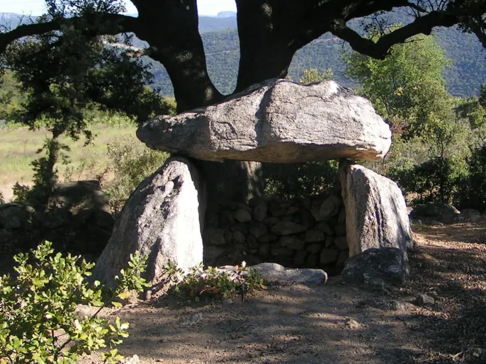 Sentier des dolmens à Ansignan