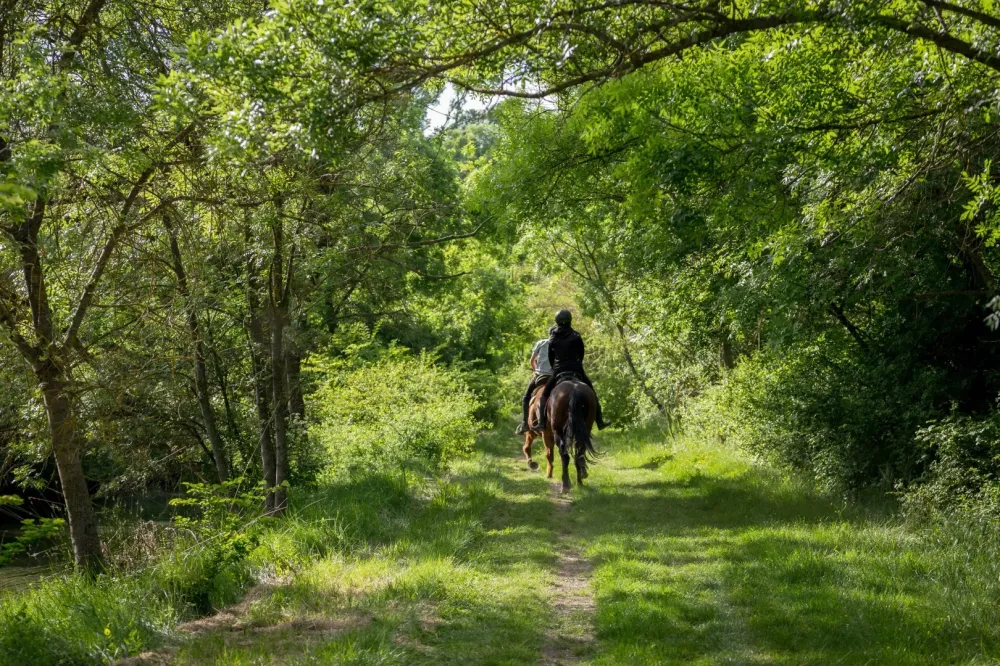 Balade à cheval au centre équestre de Castel-Fizel